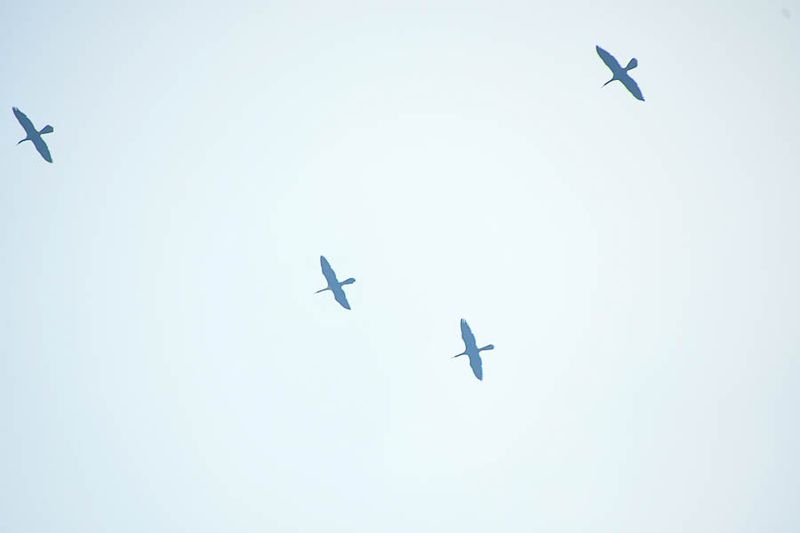 2025 03 13 Flying through smoke from wildfire 0742