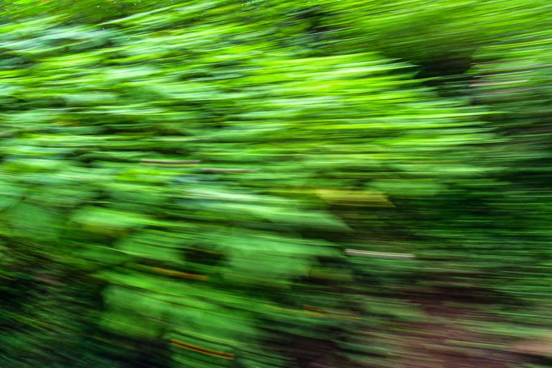 09 05 Whoosh! India-2-3013