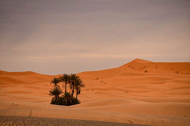 Erg Chebbi