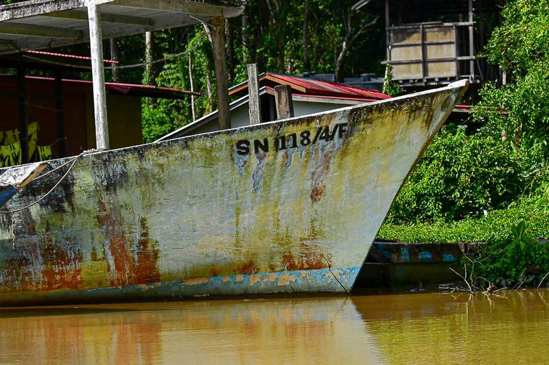 Abai - Abai Jungle Lodge