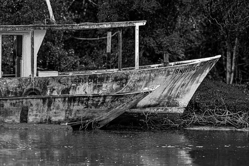 Abai - Abai Jungle Lodge