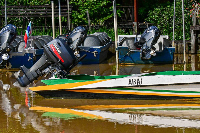2023 08 26 Boats on the Kinabatangan River at Abai 5324-1