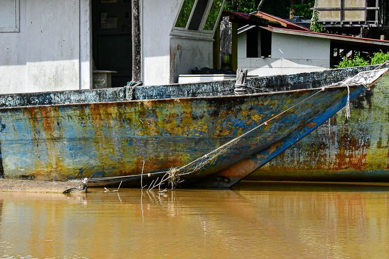 Abai - Abai Jungle Lodge