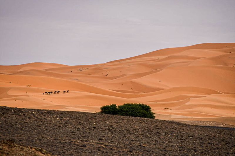 20190 4 03 El Chebbi Moroc-4693