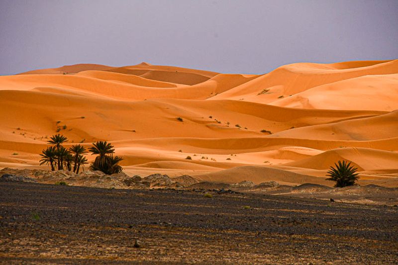 Erg Chebbi -  Merzouga, Morocco