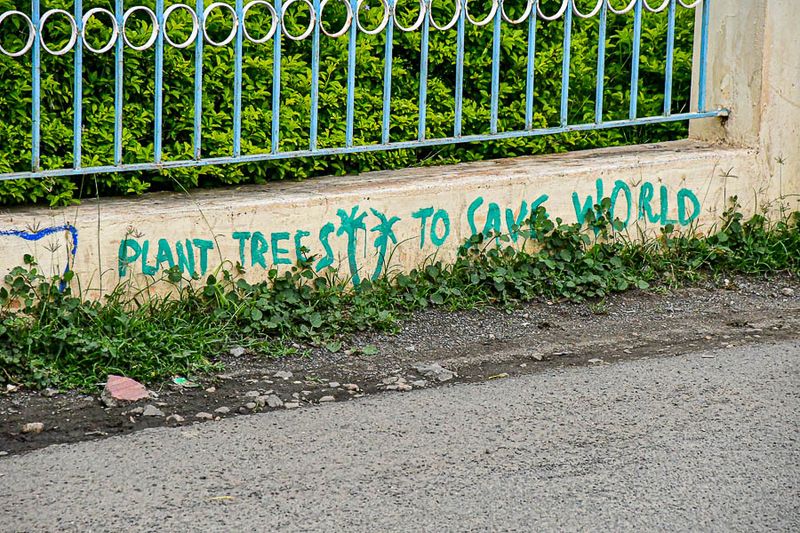2017 09 05 'Plant trees to save the world' 3217