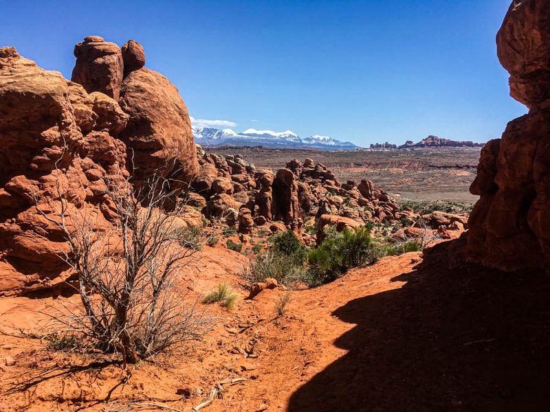 05 03 Fiery Furnace i2034