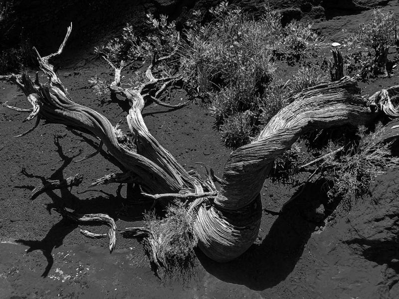 Utah monochromes