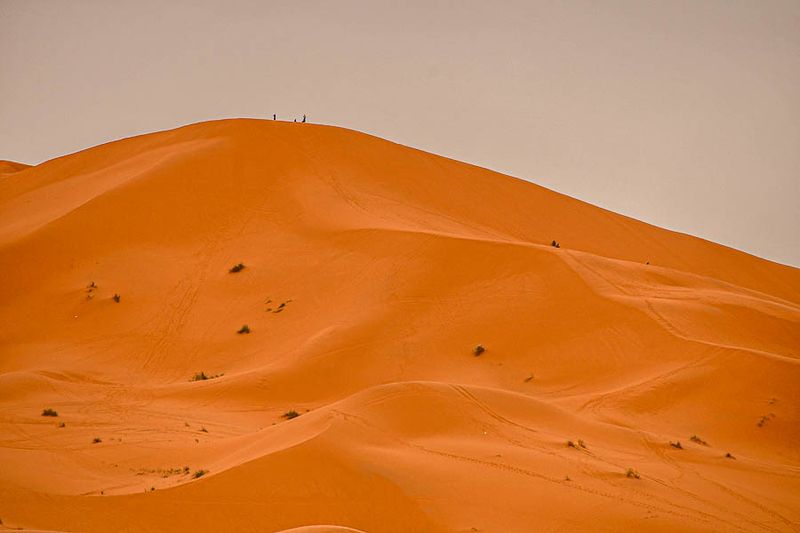 2019 04 03 Dune toppers Moroc-4731