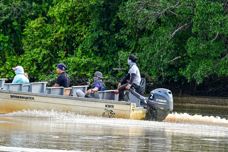2023 08 26 the Kinabatangan River 5339
