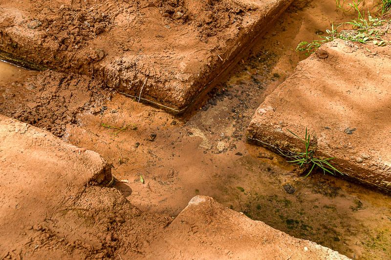 2019 04 03 Irrigation junction Moroc-4766