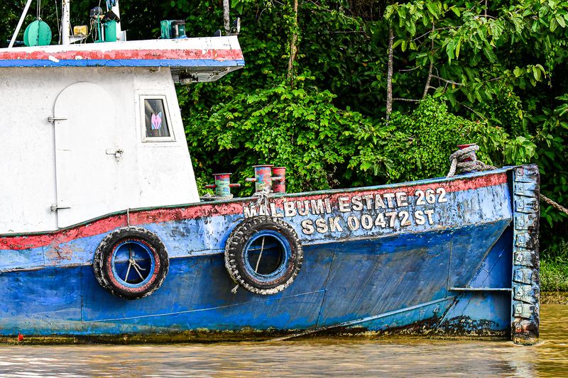2023 08 27 Malbumi Estate tug on the Kinabatangan River 5485