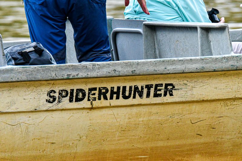 2023 08 27 'Spiderhunter' 5491