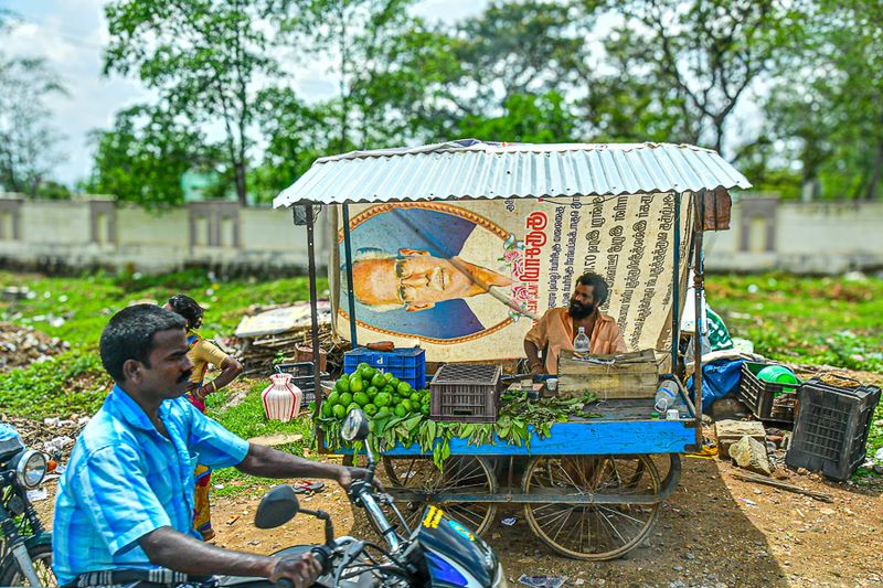 2017 09 06 Fruit vendor India-2-3418