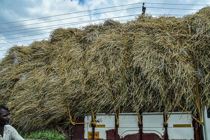 2017 09 06 A bit of an overload India-2-3494