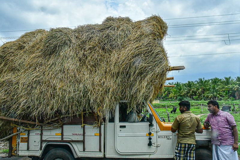 2017 09 06 Loaded and ready to go India-2-3499