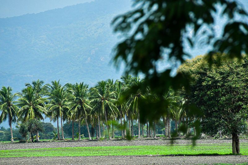 2017 09 06 India-2-3504