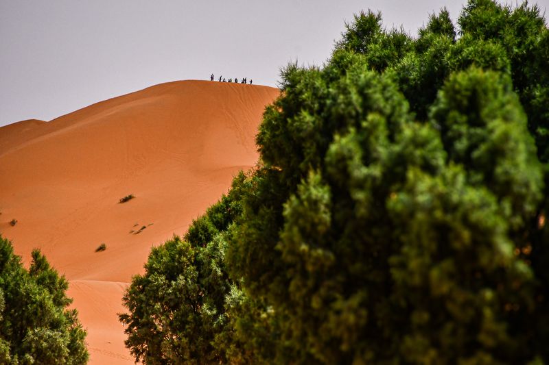 2019 04 03 Motorcycles on the dune - Erg Chebbi - Merzouga Moroc4782