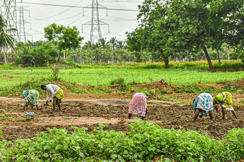 Mettupalayam to Kodaikanal