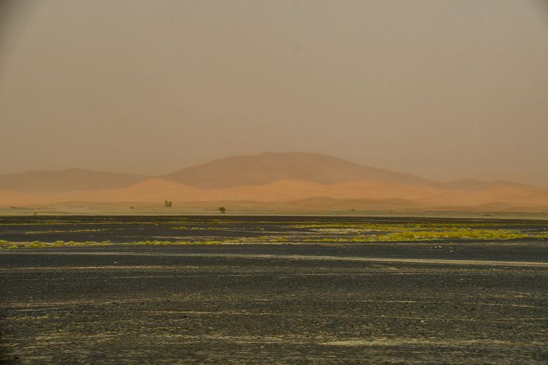 2019 04 03 Erg Chebbi - Merzouga Moroc-4811