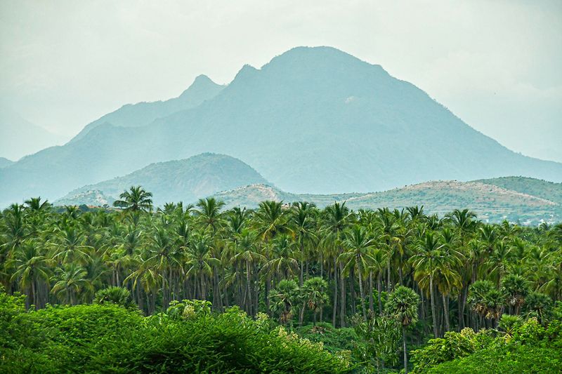 2017 09 06 India-2-3689