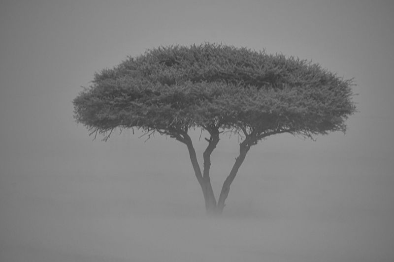 Erg Chebbi -  Merzouga, Morocco