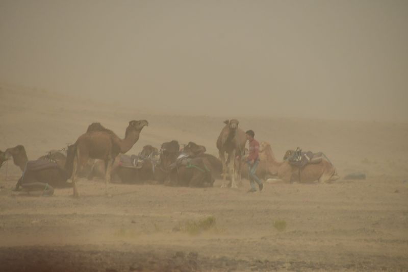 Erg Chebbi -  Merzouga, Morocco
