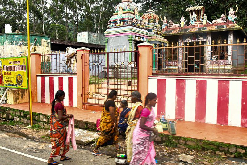 2017 09 06 Bus stop India-2-3767