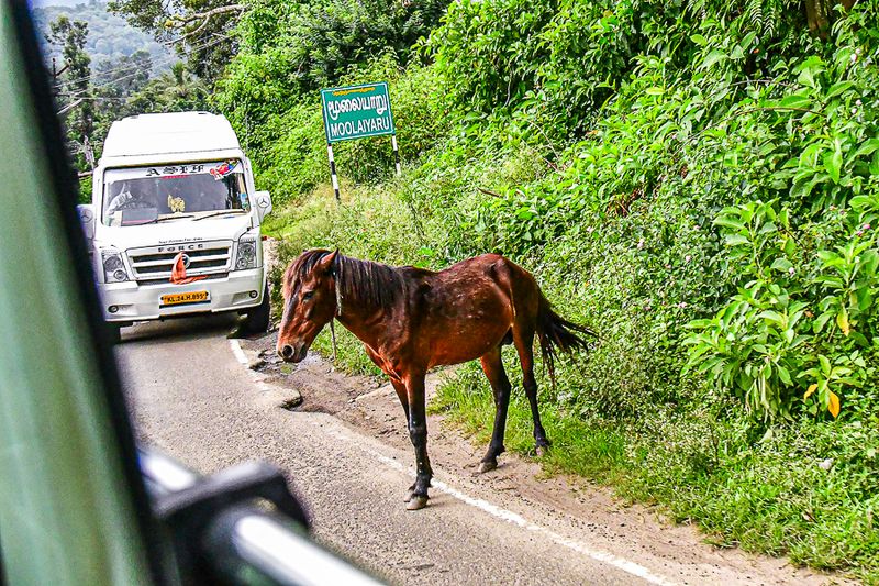 2017 09 06 India-2-3782