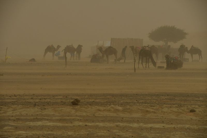 Erg Chebbi -  Merzouga, Morocco