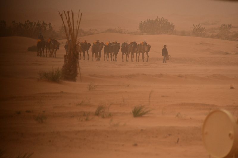 Erg Chebbi -  Merzouga, Morocco