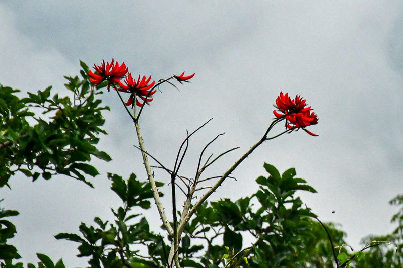 2017 09 06 India-2-3831