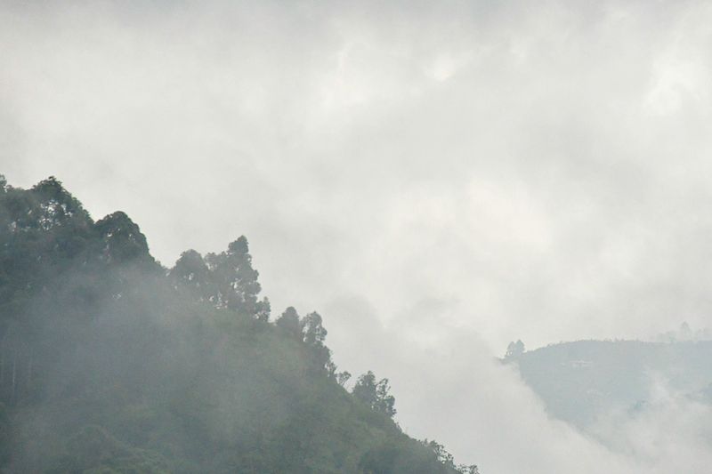 2017 09 06 In the hills India-2-3835