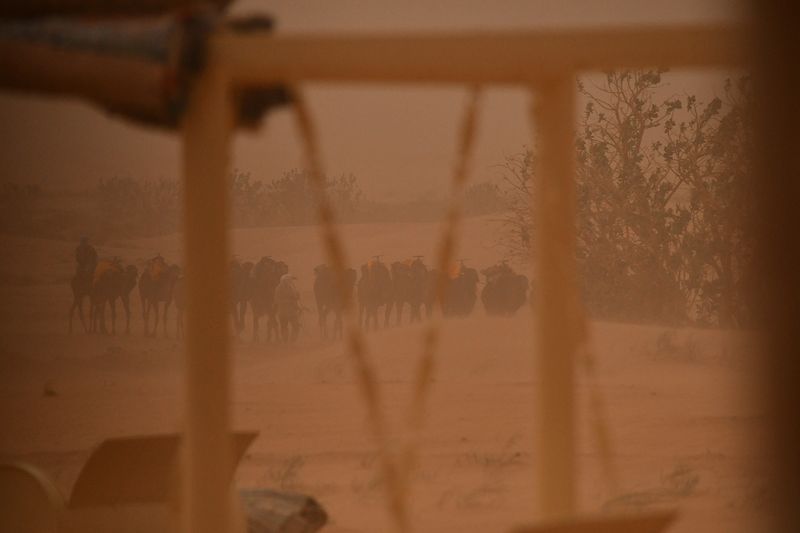 2019 04 03 No camel rides this afternoon Moroc-4886
