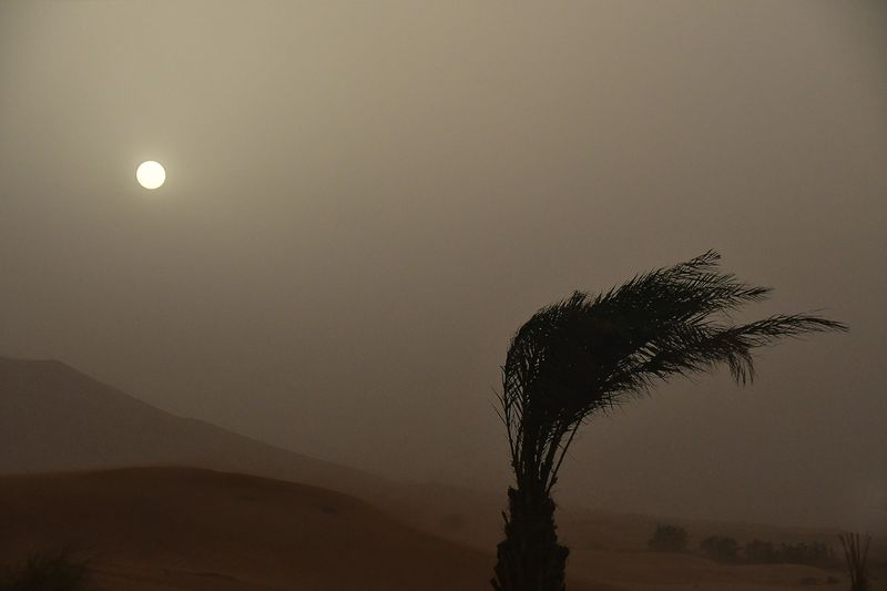 2019 04 03 Sun trying to come through Moroc-4899-Edit