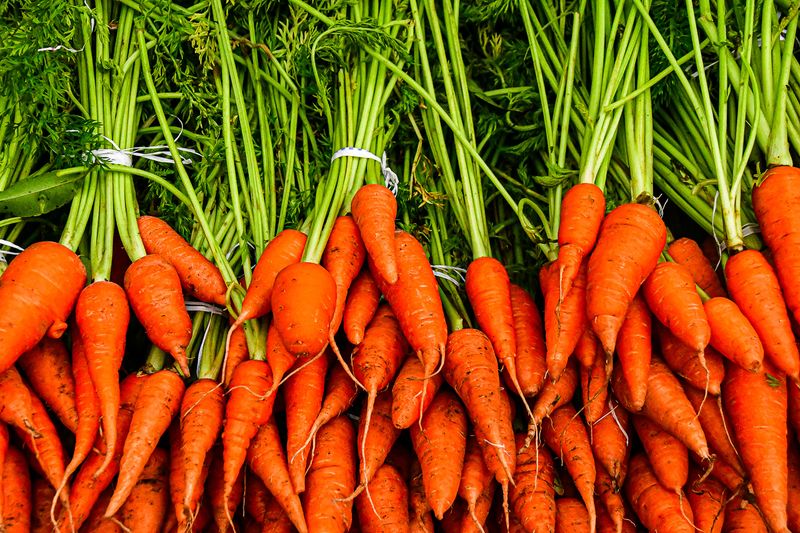2017 09 06 Freshly harvested carrots India-2-3854