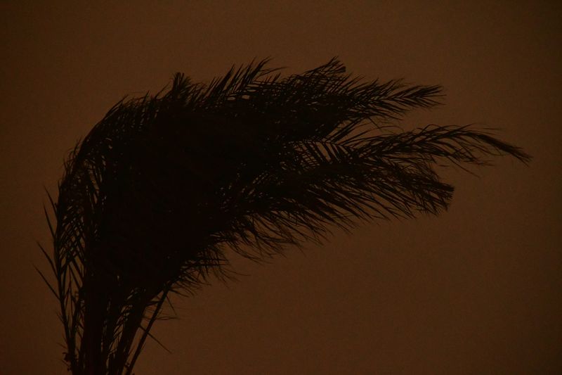 2019 04 03 Sun trying to come through Moroc-4922