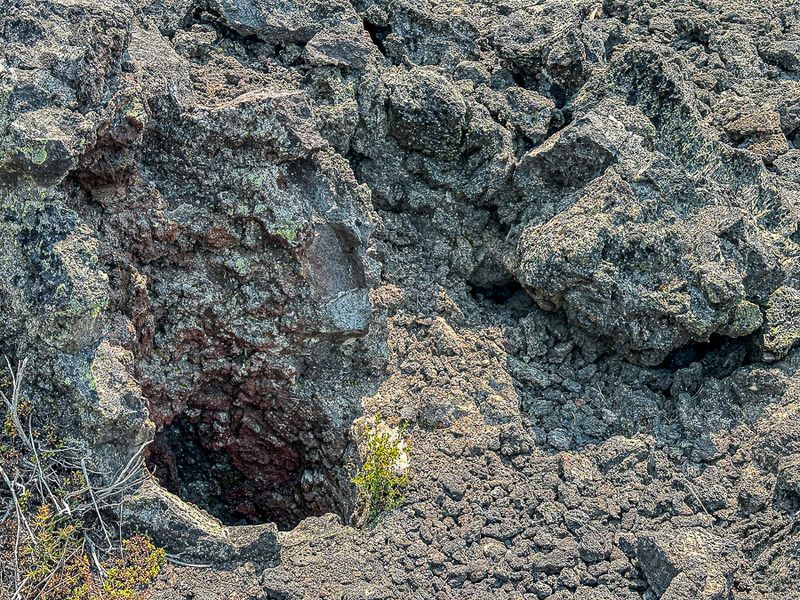 2024 07 20 Lava Cast Forest - Deschutes Natl. Forest i7173