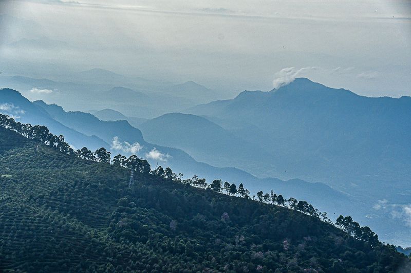 Kodaikanal - 'Kodai'