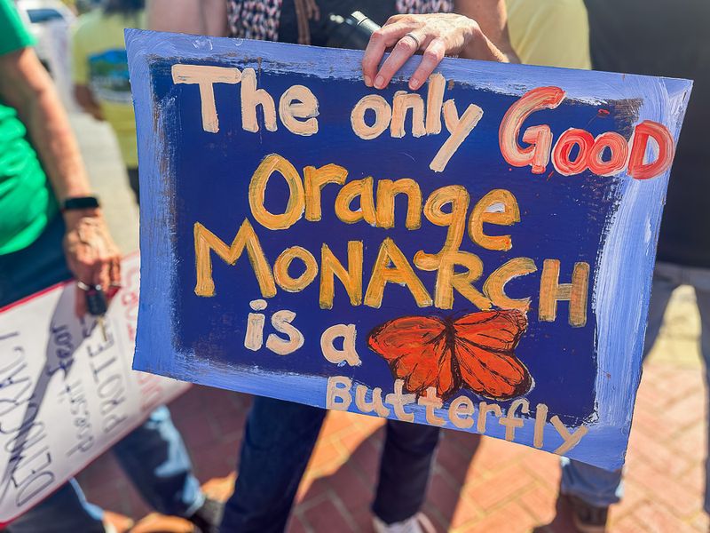 2025 10 18 Monarch butterfly i6946