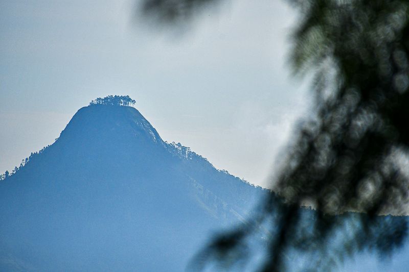 2017 09 06 Kodaikanal India-2-3892-2