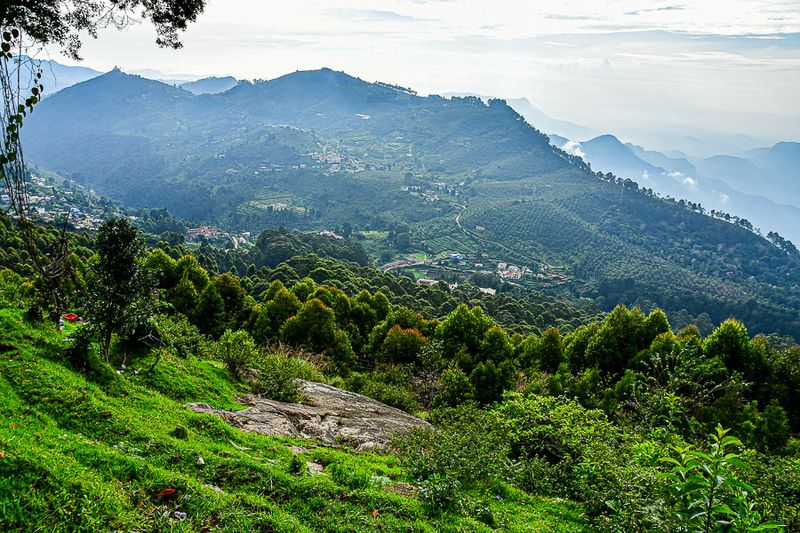 2017 09 07 'Kodai' India-2-3903-2