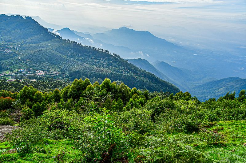 2017 09 07 'Kodai' India-2-3904-2