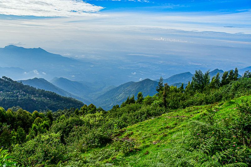 Kodaikanal - 'Kodai'