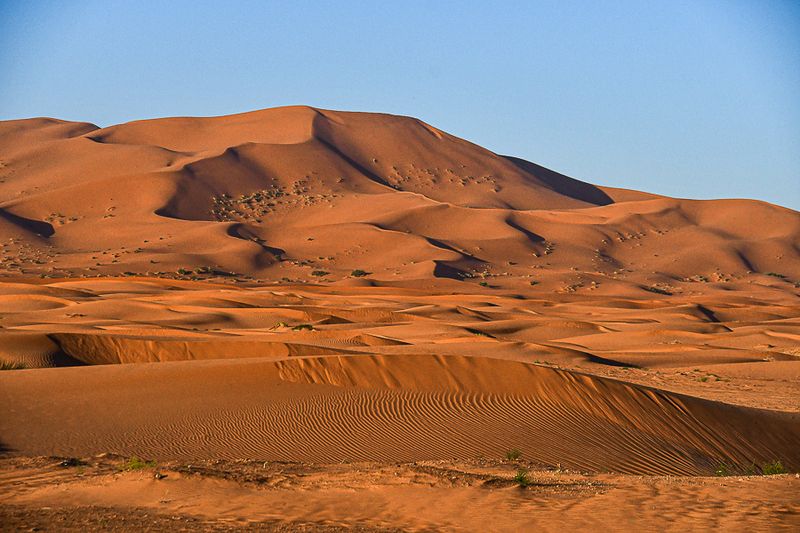 2019 04 04 Erg Chebbi - Merzouga Moroc-4928