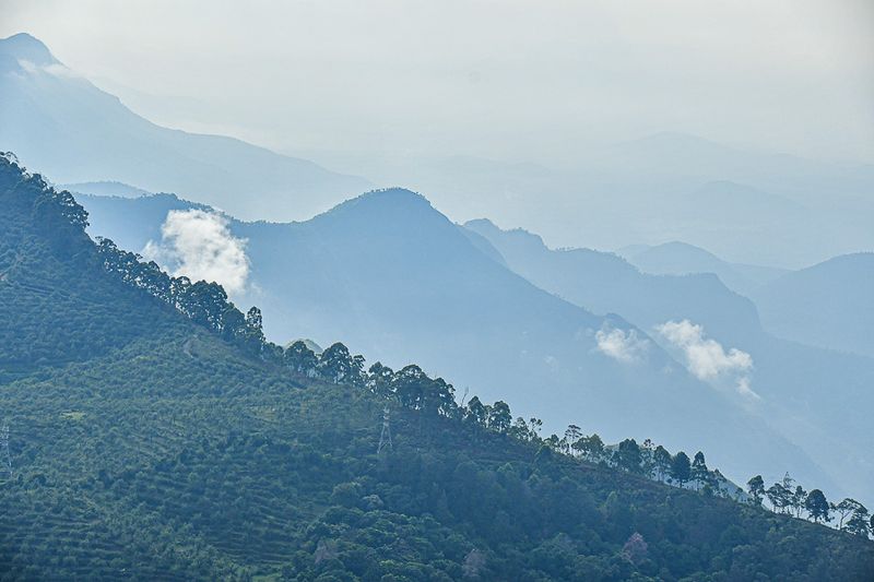2017 09 07 'Kodai' India-2-3912-2