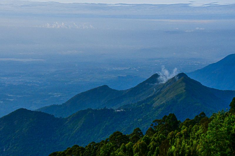 2017 09 07 'Kodai' India-2-3918-2