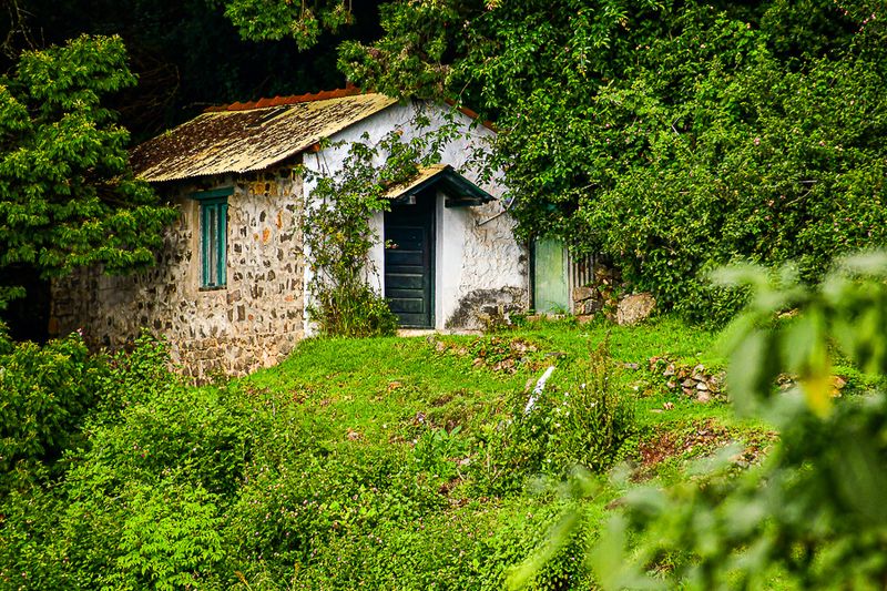 2017 09 07 'Kodai' India-2-3936-2