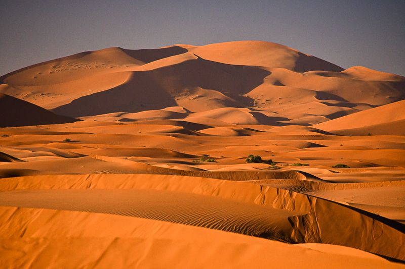 2019 04 04 Erg Chebbi - Merzouga Moroc-4947