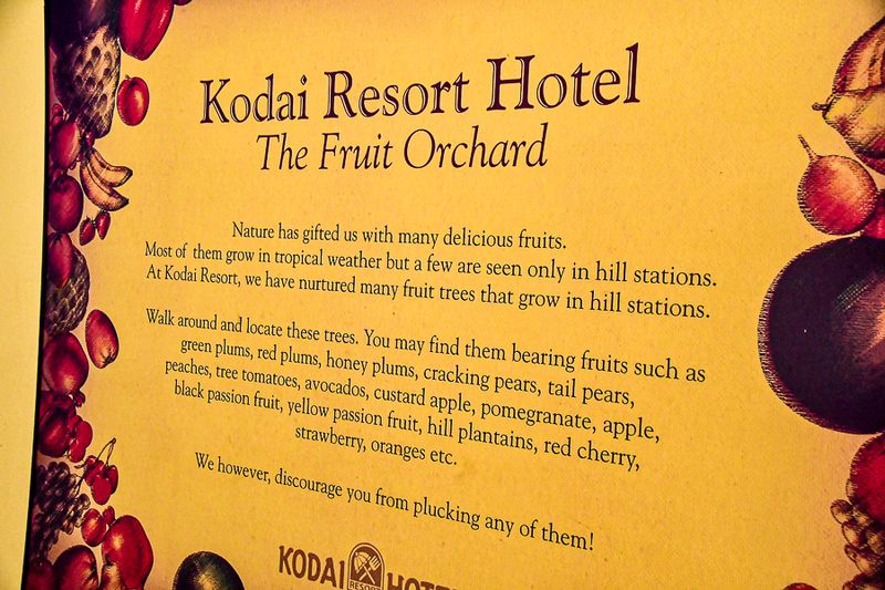 2017 09 07 'Kodai' India-2-3942-2